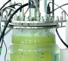Bioreactor_at-Electrochaea_laboratory-cElectrochaea_GmbH