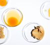 Petrischalen mit Fett und Öl